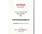 avaya 中小企业产品核心金沙app下载大厅的合作伙伴-2013年